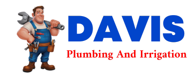 Trusted plumber in LOTHAIR